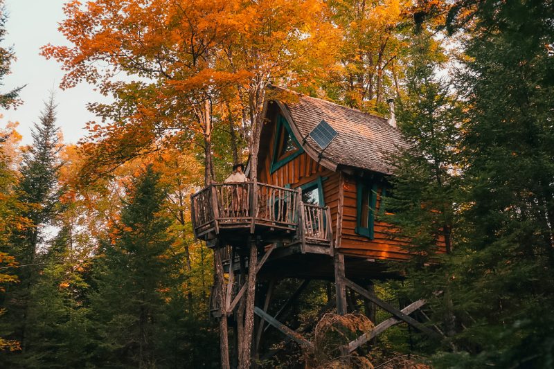 view of the facade of our unique treehouse in Quebec