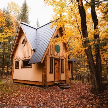 Vue de la forêt de notre maison Viking à l'automne. @Edithroger